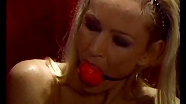 Brazzers: Bargain Humping med Taylee Wood online porr på PorrHD