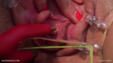 Feeding Fruit porr online free & Frankfurter till MILF Sofia STar