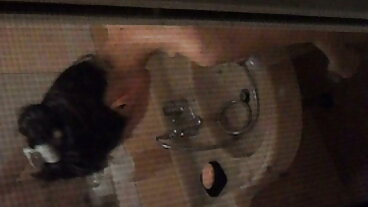 Brazzers: Bargain Humping svensk porr på nätet med Taylee Wood på PorrHD